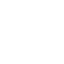 Shield white